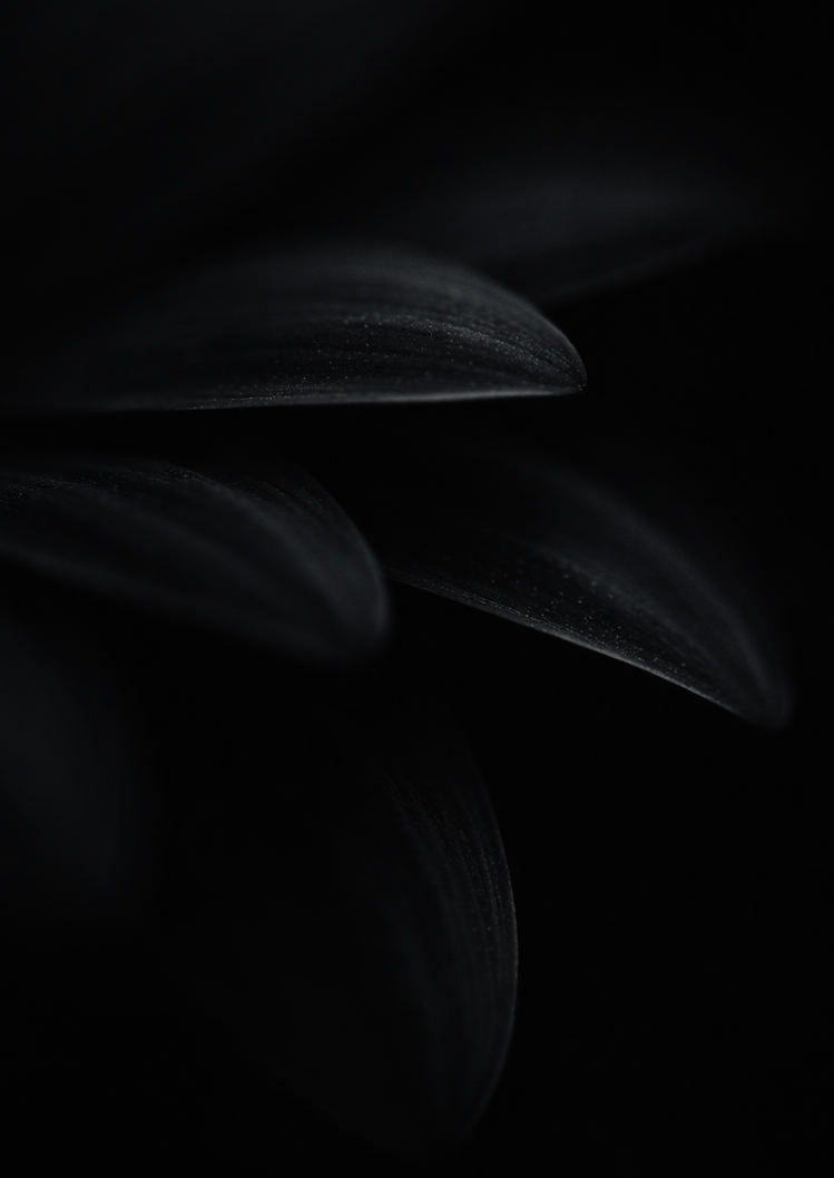 BotmasterLabs: Powering an Era of Spam